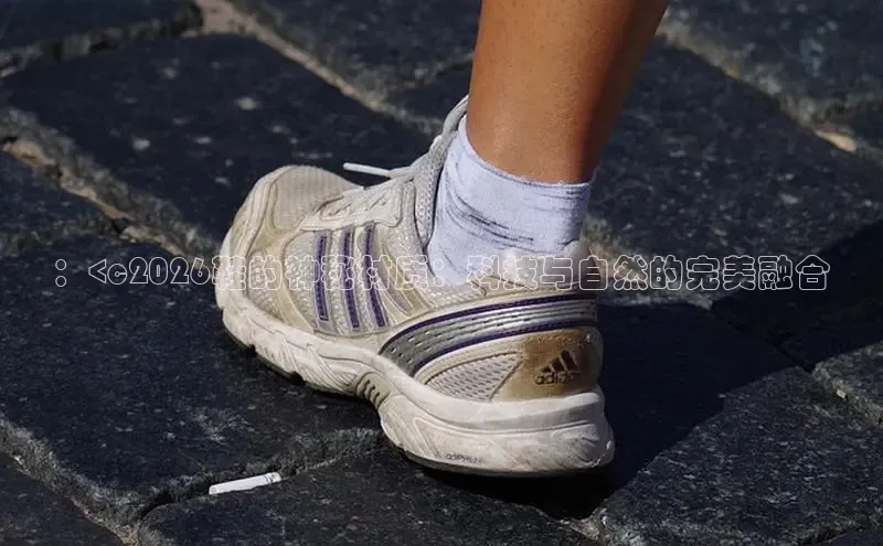 ：<c2026鞋的神秘材质：科技与自然的完美融合